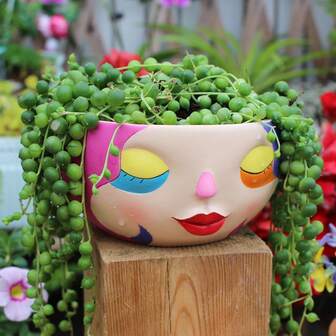Creative Dopamine Color Face Resin Flower Pot Home Desktop Succulent Planting Container Featured Flower Pot Colorful Women's Face Flower Pot Ornament Garden Terrace Plant Pottery Landscape Decoration Ornament