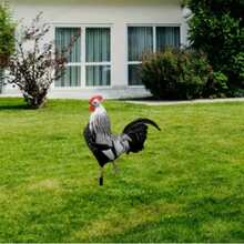 Charmante Acryl Henne Garten Dekoration - Rustikale Weihnachtstier Dekoration, geeignet für Hof und Rasen, Outdoor Statue, lebendiges Design, perfekt für Terrasse, Bauernhof und Garten - Verschiedenfarbig - Übersicht 8