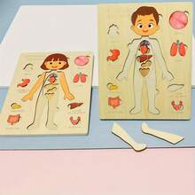 1 bộ ghép hình bằng gỗ về giải phẫu học người - Đồ chơi giáo dục tương tác cho trẻ em, thúc đẩy khả năng nhận thức và tương tác giữa cha mẹ và con cái, đồ chơi ghép hình nhiều màu sắc dành cho trẻ mẫu giáo. - Nhiều màu - Xem 5