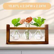 1 Set Wood Base Glass Vase - Hydroponic Plant Stand With Cultivation Station, Desktop Glass Container With Wooden Rack, Fashionable Home And Office Decor, Ideal Gift For Plant Lovers - Multicolor - View 7