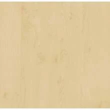 Wall Paper - Multicolor - View 4