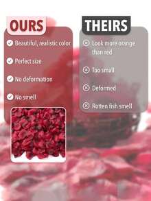 2000pcs Artificial Silk Rose Petals Decor, Red Rose Petals, Suitable For Wedding Decoration, Valentine's Day Decor, Gift Box Filler, Proposal, Room Aisle Decor, Holiday Decoration