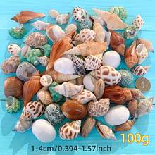 100g Assorted Seashell DIY Craft Kit - High Quality Natural Materials For Making Exquisite Jewelry And Decorative Patterns - Multicolor - View 10