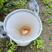 1/2pcs 13-Inch/33cm Beekeeping Funnel - Easy To Use, Durable Nylon Material, No Battery Required - White - View 8