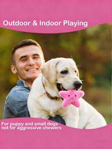 6 piezas Juguetes de masticar para perros talla grande vendidos de TPR - Juguetes indestructibles, de limpieza dental y con chirrido para perros - Multicolor - Ver 5