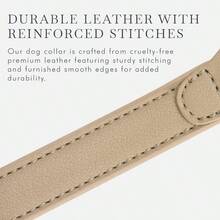 Standard Leashes - Beige - View 7