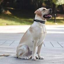 Adjustable Spiked Dog Collar Set (With Leash) - Faux Leather Studded Pet Collar, Ideal For Outdoor Walks, Bite-Resistant, Durable Training Collar, Suitable For Medium And Large Dogs - 黑色 - 查看 3