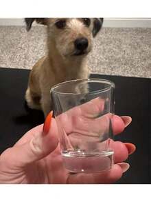 1pc Personalized Wedding Shot Glass - Engraved Party Cup, 2oz Mini Shot Glass, Wedding Favor, Valentine's Day Shot Glass, Pink Bow Heart Shot Glass, Unique Celebration Glassware, Customized Party Shot Glass, Engraved Wedding Gift