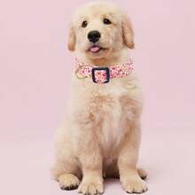 Cute Floral Dog Collars With A Little Flower Charm For Female Male Cats Puppies Small Medium Large Dogs - Watermelon Pink - View 7
