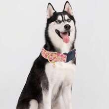 Cute Floral Dog Collars With A Little Flower Charm For Female Male Cats Puppies Small Medium Large Dogs - Watermelon Pink - View 9