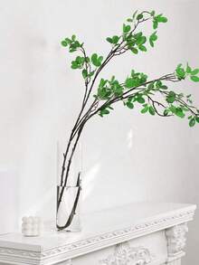 Bình hoa thủy tinh 6/4, cao và trong suốt, thích hợp để trang trí bàn ăn, trang trí đám cưới, có 3 lựa chọn đường kính, có chắn gió, có thể dùng làm giá nến nổi, phong cách tối giản hiện đại, thích hợp cho các bữa tối trang trọng, trang trí nhà cửa, trang trí phòng và nhiều hơn nữa. - Nhiều màu - Xem 2