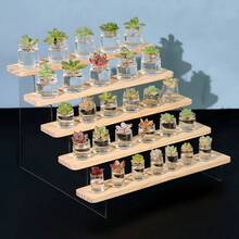 Acrylic Transparent Stepped Display Rack, Desk Organizer For Figurines, Plants, Small Items, Blind Box Display, Wooden Stepped Shelving