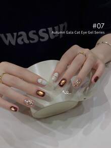 LYTTOA 10毫升栗棕色猫咪磁性凝胶指甲油半永久焦糖巧克力棕色玻璃珠猫眼凝胶4色套装美甲沙龙1件/10件