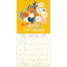 Meera  Patel 2026 Wall Calendar: You Are Made of Stars(default) - Multicolor - Ver 5