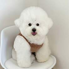 1pc Korean/Japanese Style Plush Pet Apparel, Teddy Bear Design For Yorkies/Cats - Multicolor - View 5