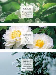 Kérastase KERASTASE Blond Absolu Cicaflash Hair Conditioner - 75ml/2.54fl.Oz - Cicaflash 75ml - View 9