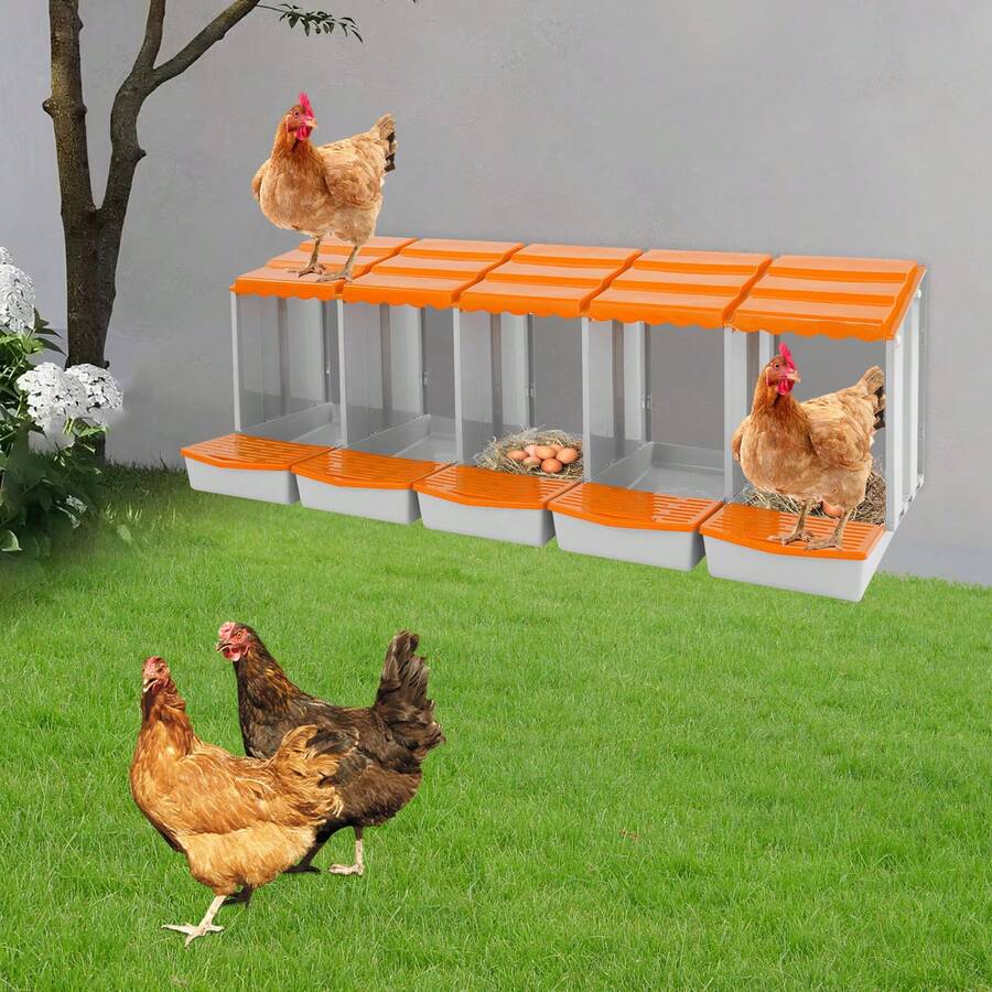 ZHFEISY Chicken Nesting Box, 5-Compartment Chicken Nest Laying Box With Egg Collection - default - View 1