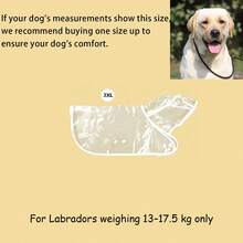 2/1pc Transparent Waterproof Dog Raincoat, Pet Rainwear - Full Body EVA Material With Hood (Recommend Buying One Size Larger Than Actual Size). Soft Outer Layer Design, Suitable For Small To Medium Dogs. Ideal For Pomeranian/Bichon Frise Walks In The Rain. All-Weather Waterproof Raincoat, Rainy Season. - Clear - View 18