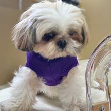 Violeta Roxo