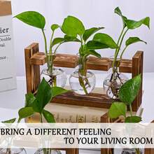 1 Set Wood Base Glass Vase - Hydroponic Plant Stand With Cultivation Station, Desktop Glass Container With Wooden Rack, Fashionable Home And Office Decor, Ideal Gift For Plant Lovers - Multicolor - View 8
