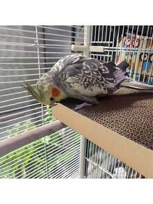 2pcs/Set Parrot Chewing Toys, Cage Accessories For Stress Relief, Pet Bird Shredding Paper Toys, Nibble Board, Suitable For Parrots & Lovebirds - Durable Paper Material, Random 2 Styles