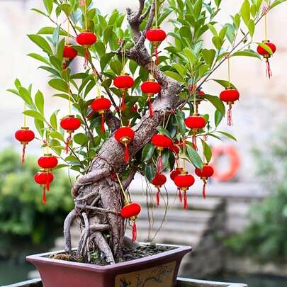 大型红色植绒单灯笼，灯笼串，中国新年装饰，户外街道和树木装饰；小型红色植绒室内灯笼；迷你户外防水悬挂式树饰，适用于中国新年