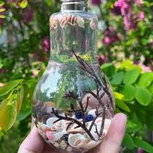 Mini Betta Fish Tank Decor, Aquarium Plant Decoration Background, Pet Supplies, Landscape Bulb Bottle (Bottle Only) - Clear - View 5