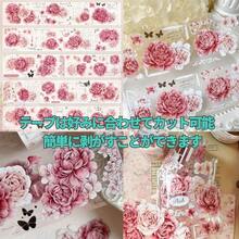 Masking Tape - 11 - 查看 5