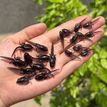 Tadpole Soft Bait With Hook - Artificial Fish Floating Lure, Realistic Tadpole Fly Fishing Bait, Dark TPE Material, Suitable For Freshwater And Saltwater Fishing