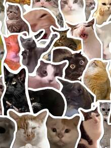 100张趣味猫咪乙烯基贴纸，创意DIY防水贴纸，适用于马克杯、冰箱、书籍、行李箱、桌子、头盔、滑板、相机、吉他、笔记本电脑等。 - TZ10096-50pc - 查看 9