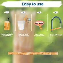 Home Times 3/10/16/22支装家庭装便携式牙刷 - 真空密封天然咀嚼棒，适合旅行、出差和日常居家使用 | 清洁牙齿，清新口气，户外活动牙齿咀嚼棒 - 彩色 - 查看 10