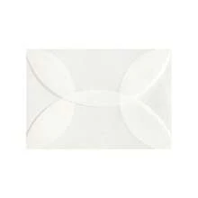 20pcs Rounded Edge Vellum Paper Envelopes, Semi-Transparent Frosted Thick Envelope Sleeves Back To School