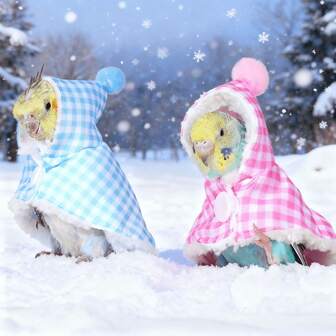 1件加厚抓绒鹦鹉户外保暖斗篷，防风带帽披风，鸟类服装配件，适合鹦鹉秋冬季穿着（纽扣颜色随机）