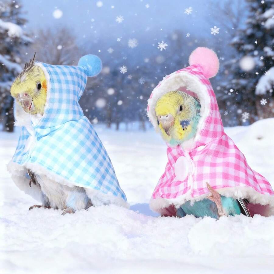 1pc Thickened Fleece Parrot Outdoor Warm Cloak, Windproof Hooded Cape, Bird Clothing Accessories, Suitable For Parrots In Autumn/Winter (Button Color Random)