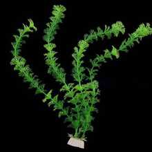 1 Cây trang trí bể cá sống động, cây thủy sinh nhân tạo, đồ trang trí bể cá bằng nhựa ABS, cây thủy sinh thực tế cho bể cá nước ngọt tại nhà, cung cấp chỗ ẩn náu và nghỉ ngơi tự nhiên cho cá và tôm. - A - Xem 9