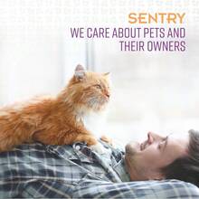 GYJ  Sentry Industries Collar calmante para gatos 3 unidades morado82 - Púrpura - Ver 5