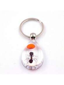 1pc Transparent Insect Keychain, Amber Insect Specimen Keychain Pendant - Multicolor - View 5