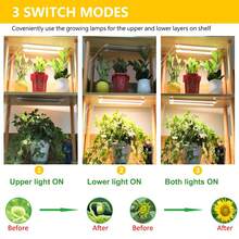 2/3/4 Head LED Grow Light Strips, Plant Lights For Indoor Plants, Full Spectrum Growing Lamps For Indoor Plants,13 Inches 2/3/4 Head Grow Lights For Indoor Plants Full Spectrum 3500K, 96 LEDs Plant Light With 3/9/12H Timer, 10 Dimmable Levels For Hydroponic Seedling Succulent - 4頭 - 查看 8