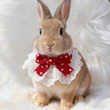 1件心形/格子蝴蝶结蕾丝兔子猫咪可爱领结宠物围巾，情人节宠物项圈，适合兔子/猫咪等小型宠物，四季皆宜 - 彩色 - 查看 9
