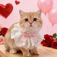 1件心形/格子蝴蝶结蕾丝兔子猫咪可爱领结宠物围巾，情人节宠物项圈，适合兔子/猫咪等小型宠物，四季皆宜 - 彩色 - 查看 2