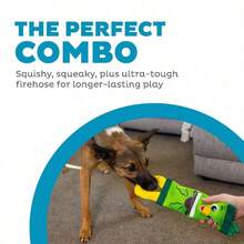 Outward Hound Fire Biterz Ultra Durable Firehose Material Interactive Dog, Mallard, Medium - Vịt trời - Xem 3