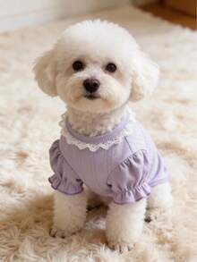 1pc Pet Dog/Cat Shirt, Suitable For Teddy, Poodle, Bichon Frise, Schnauzer, Autumn/Winter - Baby Blue - View 12