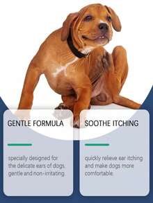 Dog Ear Care Drops For Daily Use, Gentle Formula, Cleans Earwax, Relieves Itching And Odor. A Pet Ear Care Solution To Clean Ear Canals And Keep Ears Fresh.