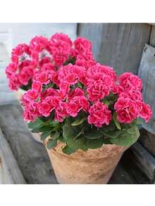 1/2/4株仿真天竺葵灌木 - 逼真的粉色花朵搭配绿色叶子，适合室内外装饰，非常适合花园、门廊、露台、窗台花箱和悬挂式花盆，无需维护的仿真户外花卉灌木 - 彩色 - 查看 8