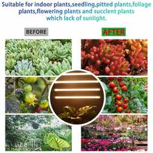 2/3/4 Head LED Grow Light Strips, Plant Lights For Indoor Plants, Full Spectrum Growing Lamps For Indoor Plants,13 Inches 2/3/4 Head Grow Lights For Indoor Plants Full Spectrum 3500K, 96 LEDs Plant Light With 3/9/12H Timer, 10 Dimmable Levels For Hydroponic Seedling Succulent - 4頭 - 查看 11