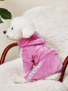 PETSIN Soft Velvet Hooded Pet Suit, Suitable For Small To Medium Dogs - Multicolor - View 10