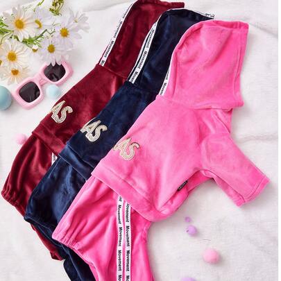 PETSIN Soft Velvet Hooded Pet Suit, Suitable For Small To Medium Dogs