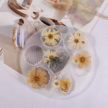 Ornamentos de Espécime de Plantas em Resina, com Diversos Elementos e Cores de Plantas, tornando-os adequados como decorações de presentes criativos. Eles podem ser colocados em uma mesa de escritório, no quarto ou na entrada.