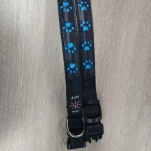 1 pieza Collar de perro LED recargable por USB, impermeable y ajustable para perros pequeños, medianos y grandes - Azul - Ver 10