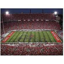 Fathead Ohio State Buckeyes – Ohio Script Stadium Mural– calcomanía de Pared extraíble, Oficial, Multicolor, Gigante – 61-62556(default) - Multicolor - Ver 3